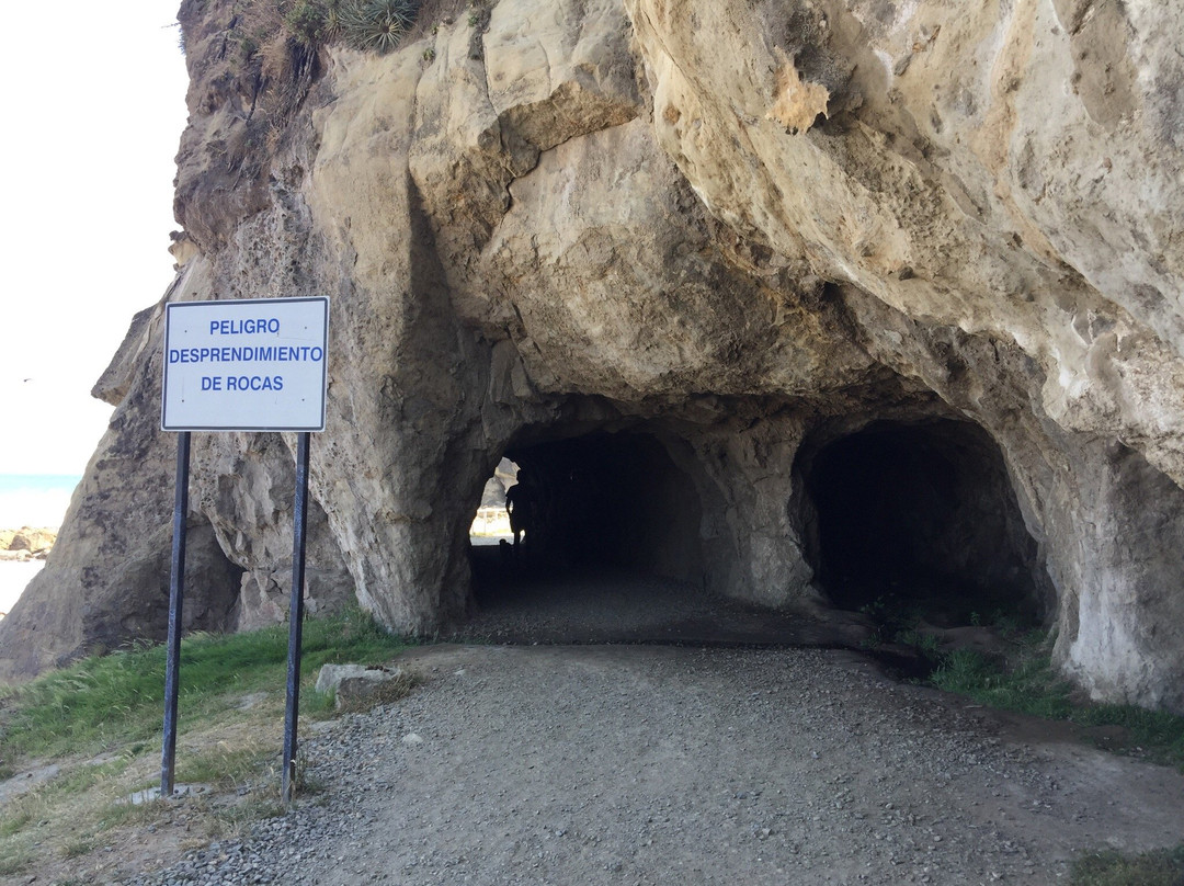 Cavernas de Benavides-Lebu必去景点