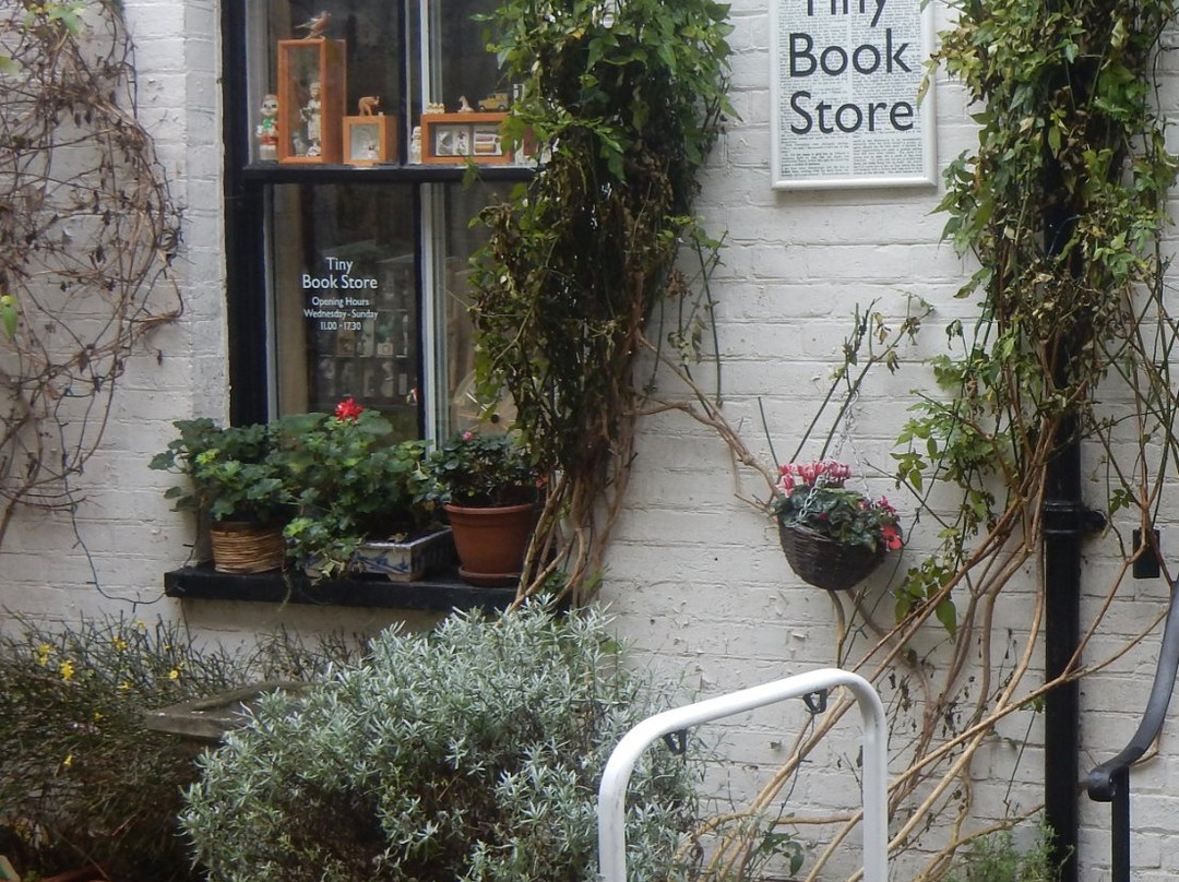 Tiny Book Store景点图片
