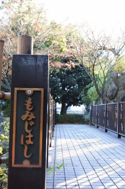 Momijiyama Park-中野区必去景点