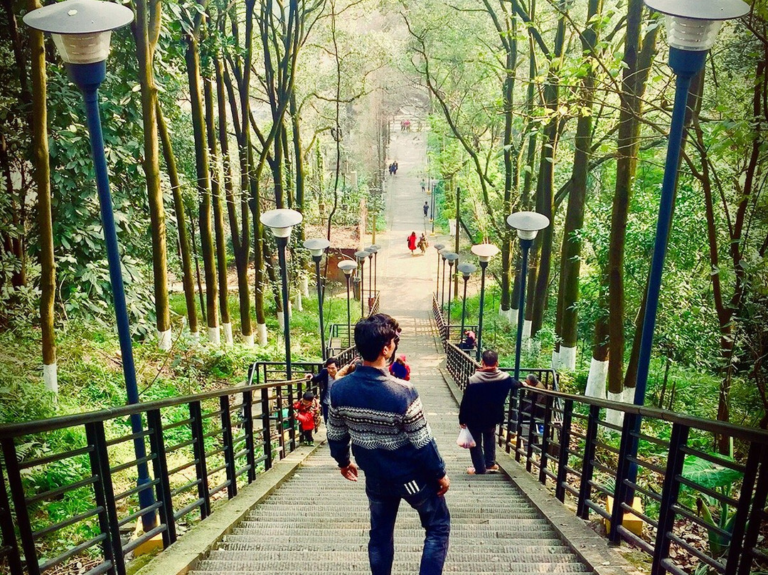 翠屏山公园-宜宾市必去景点