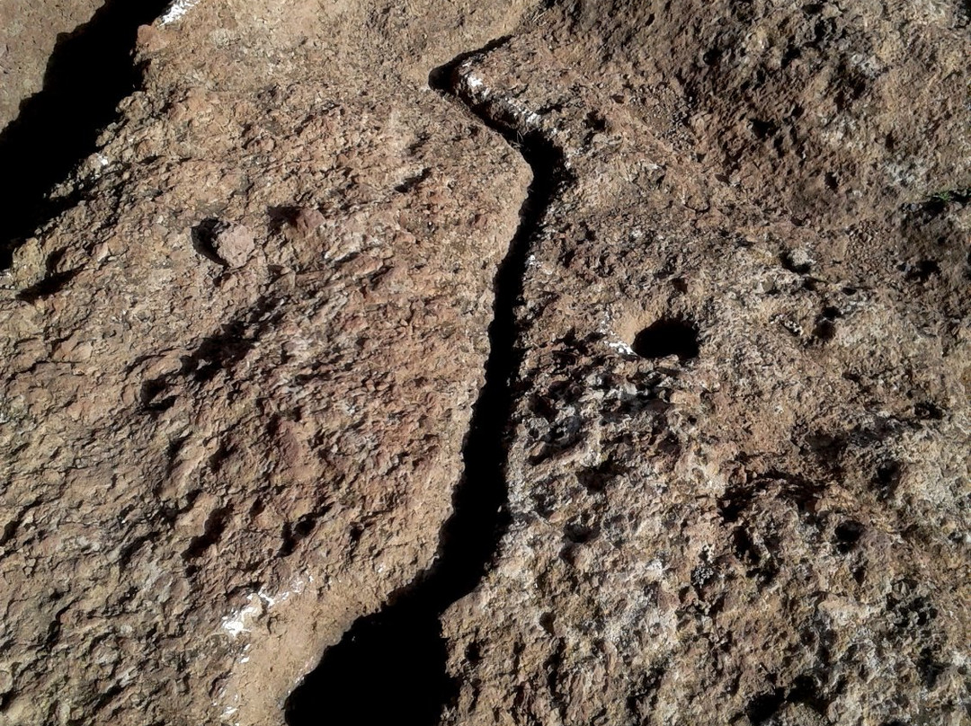 Museo Canario de Meteoritos景点图片