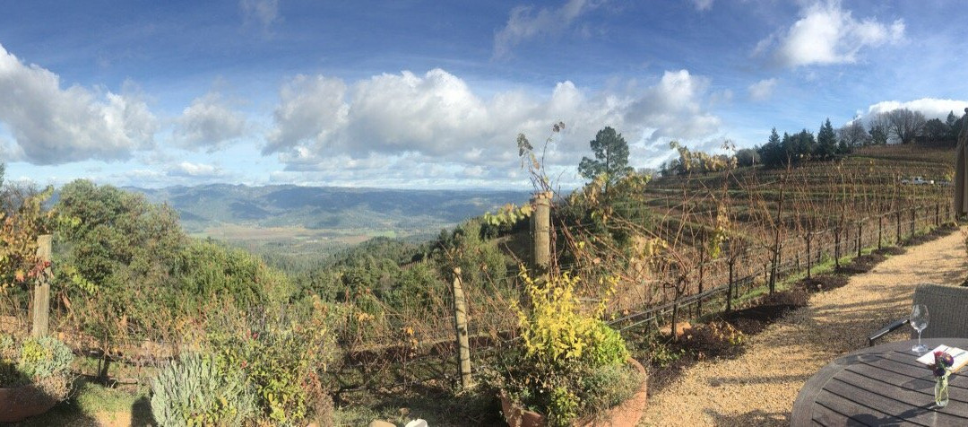 Barnett Vineyards景点图片