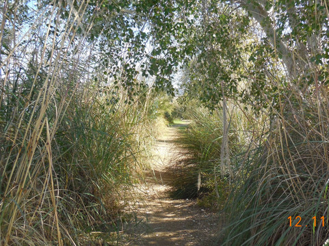 Paraje Natural Cola del Embalse de Arcos-阿尔科斯－德拉弗龙特拉必去景点