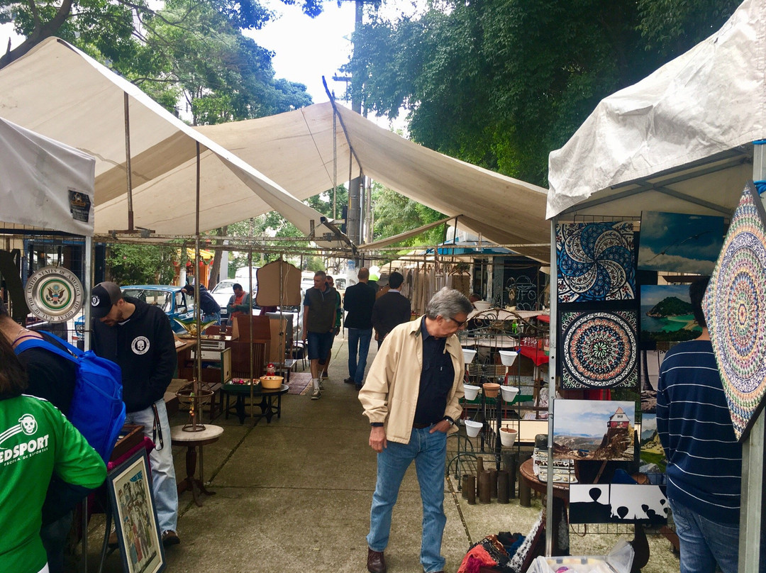 Feira da Praça Benedito Calixto景点图片
