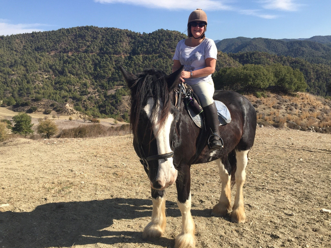 Ride in Cyprus Ltd-Melandra必去景点