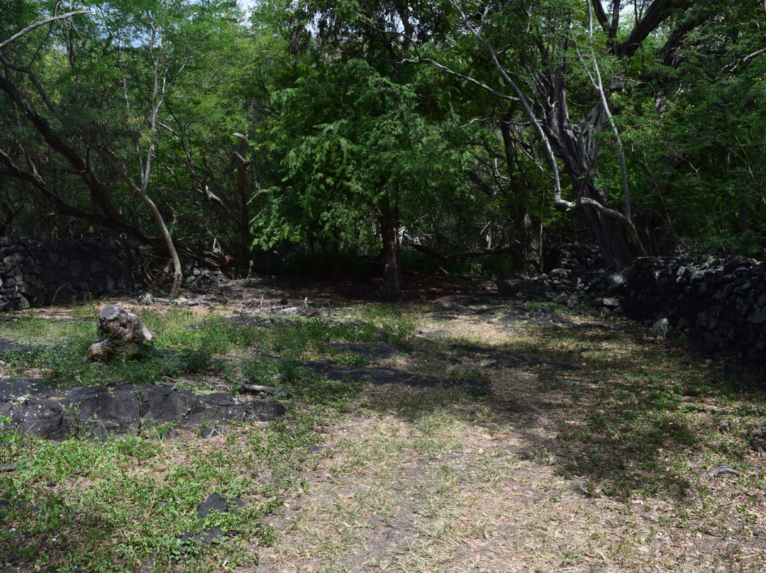 Ka'Awaloa Trail-库克船长必去景点