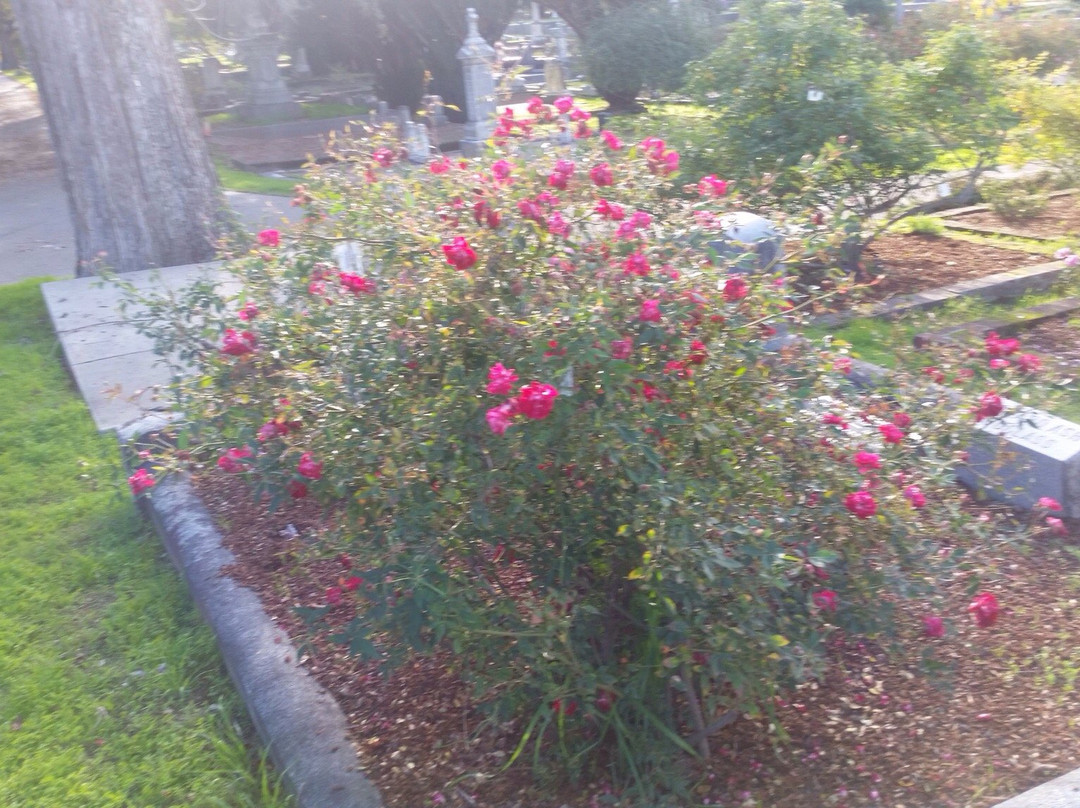 Old City Cemetery-沙加缅度必去景点