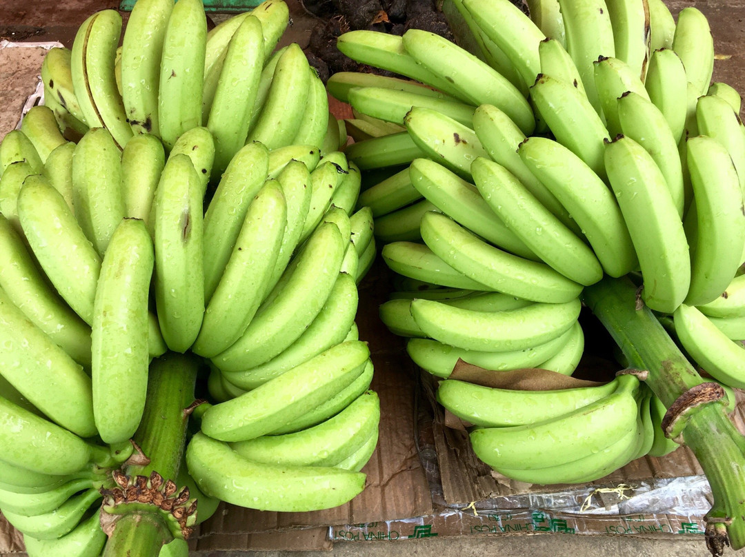 玉皇阁（阳原）-原阳县必去景点