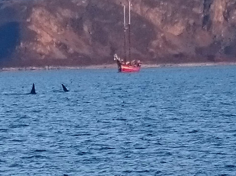 Northern Sea Adventure-特罗姆瑟必去景点