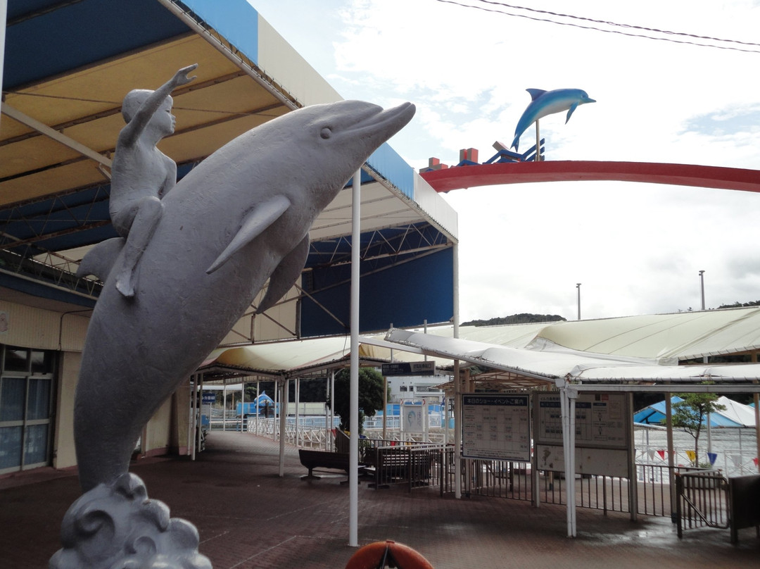 Dolphin Island景点图片