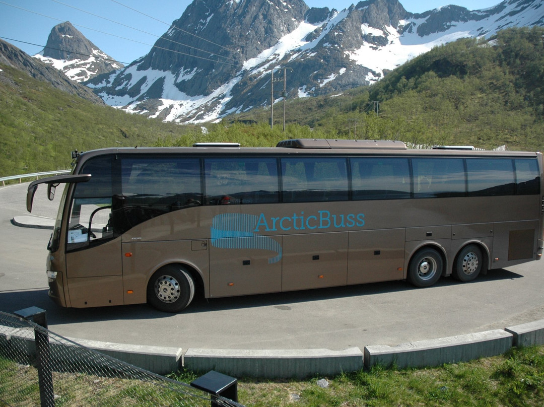 Arctic Buss景点图片