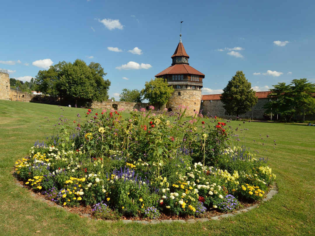 Esslinger Burg景点图片