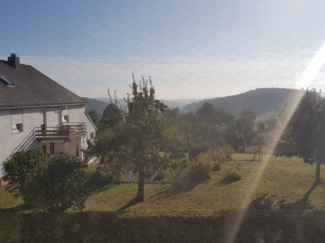 Stadtkyll酒店住宿-Gasthaus Stabel