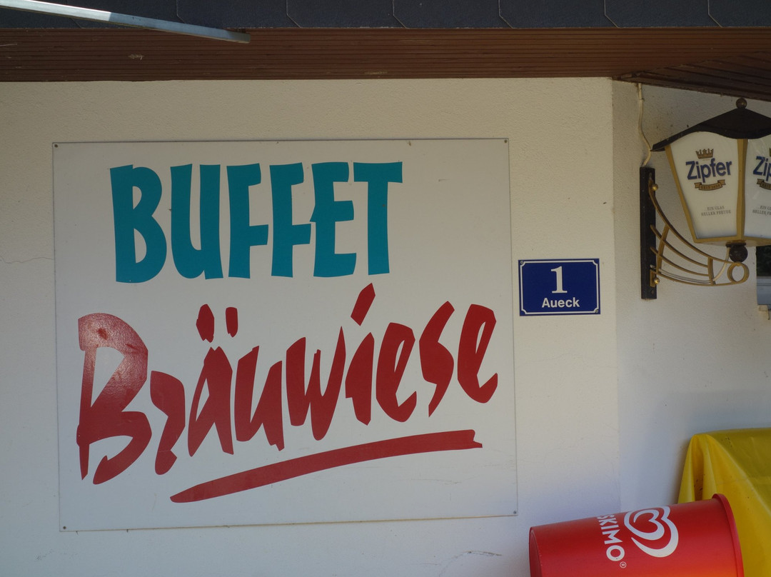 Öffentlicher Badeplatz Bräuwiese-特劳恩克申必去景点