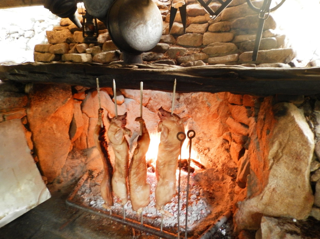 Siniscola餐馆和美食-Agriturismo Su Cuile