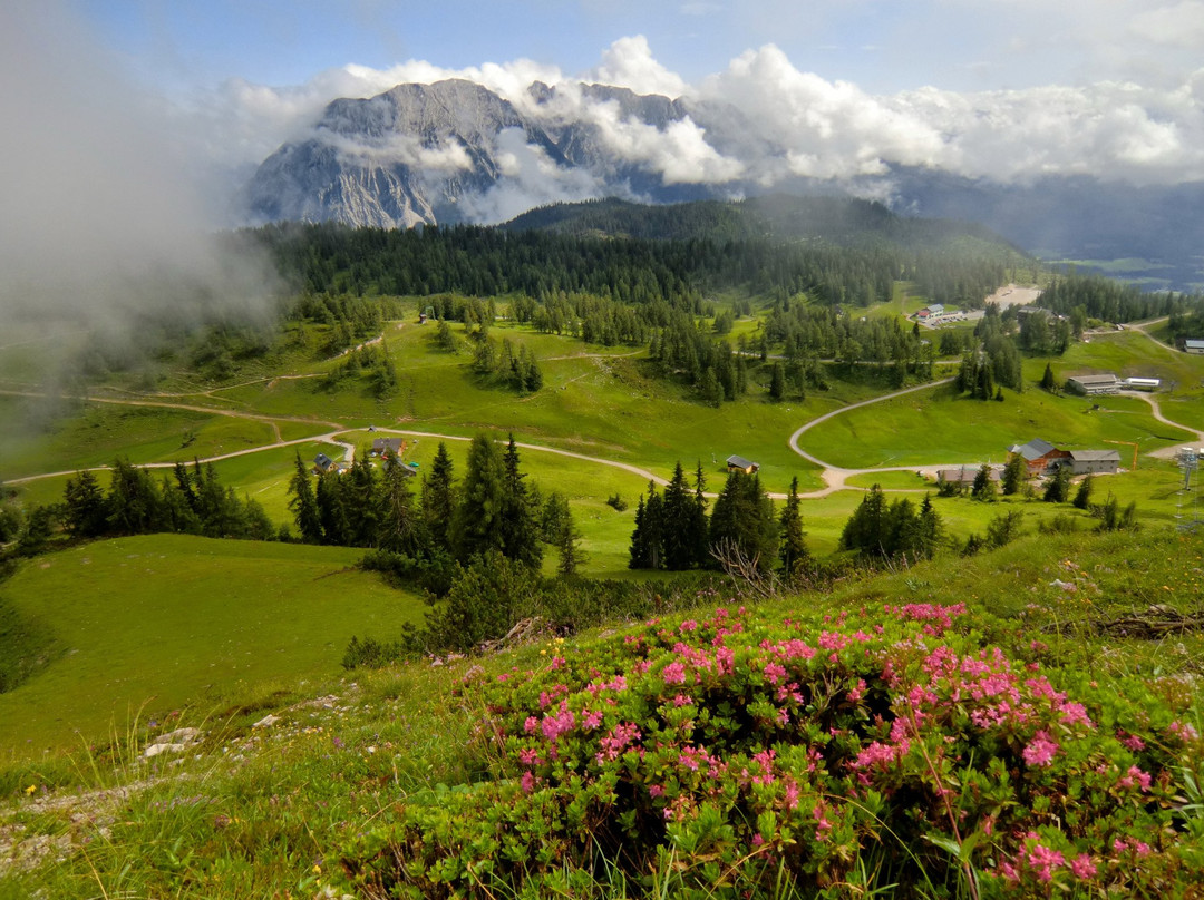 Tauplitz酒店住宿-Wander & Sporthotel Kirchenwirt