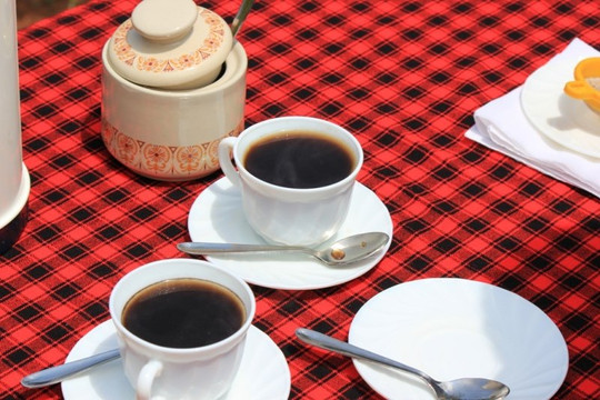 Masama Cultural Tourism Programme-乞力马扎罗山国家公园必去景点