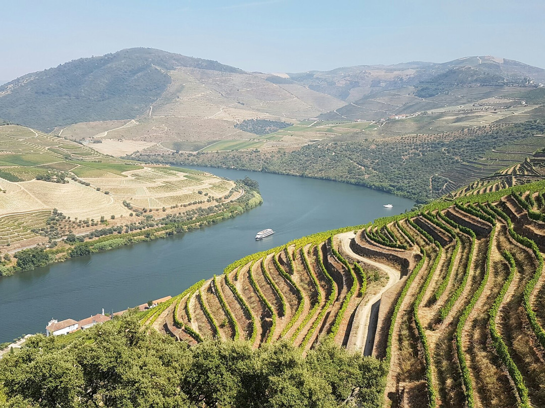 Wine Moments & Gourmet景点图片