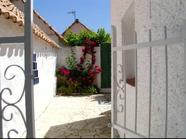 Finca Esmeralda主图