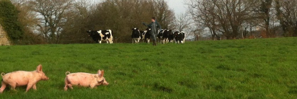 Ferme Le Buis Sonnant-Plouguernevel必去景点