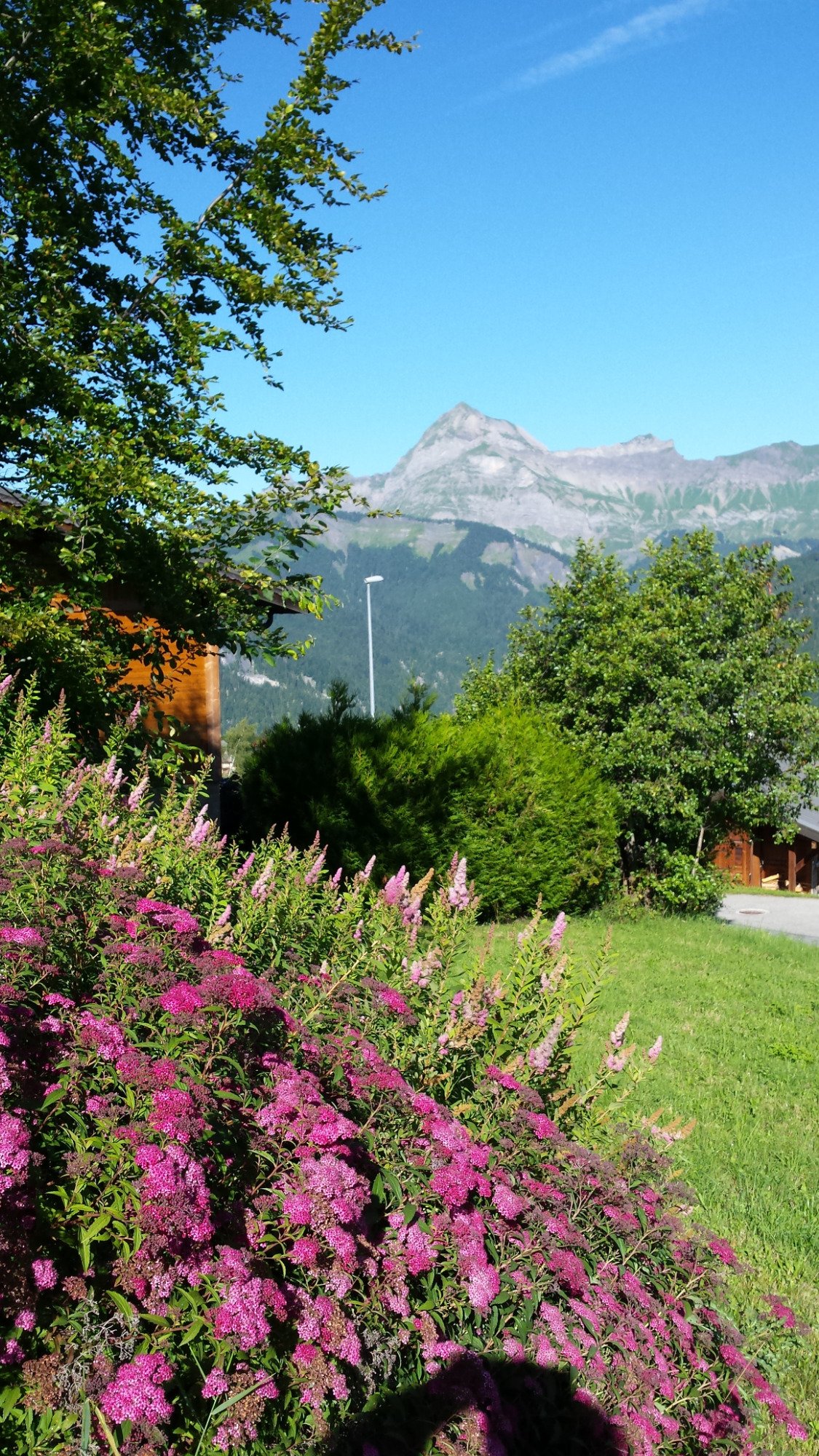 Chalet Le Saphir-酒店景观