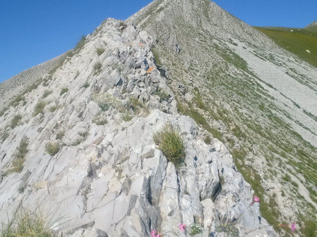 Cima del Redentore景点图片