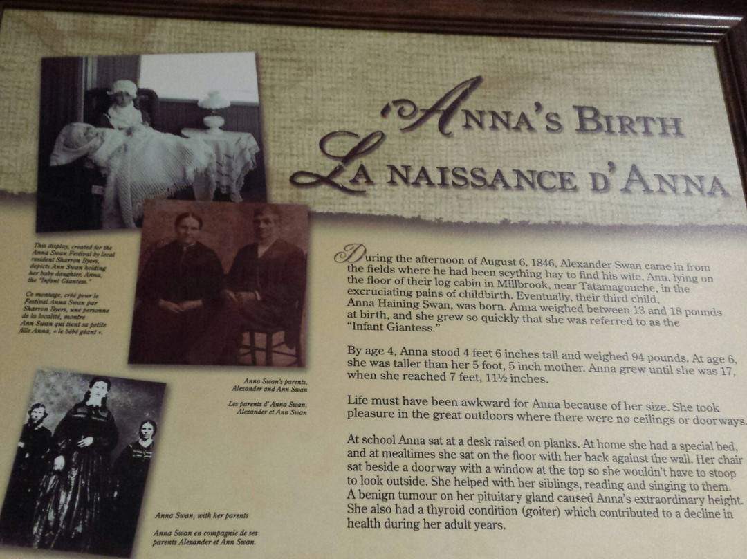 Anna Swan Museum at the Creamery-Tatamagouche必去景点