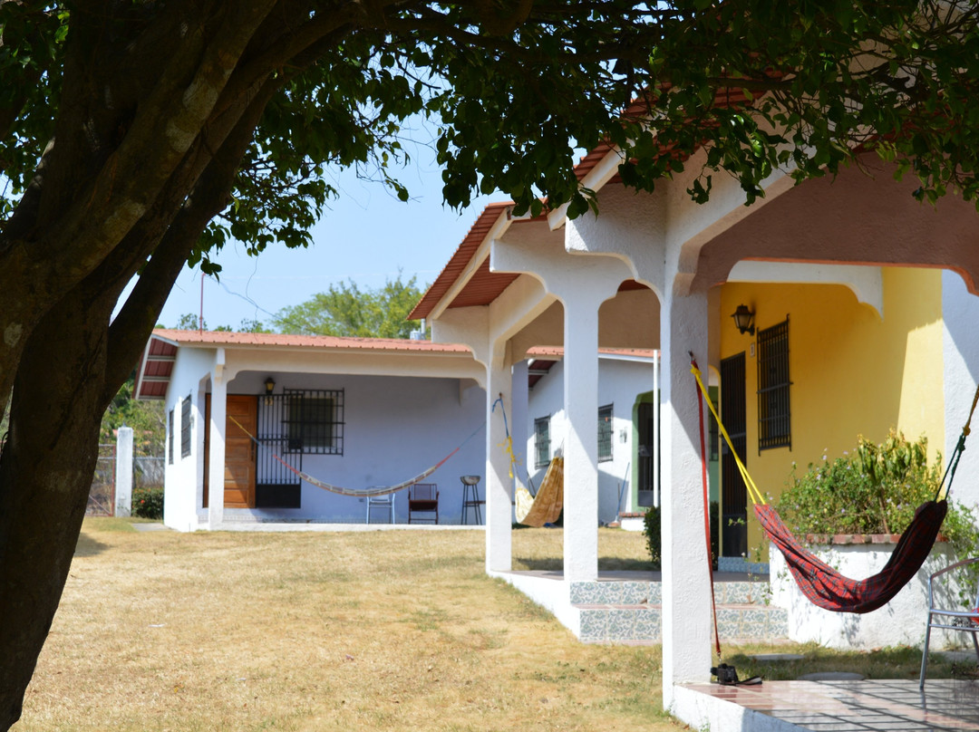 The Mango Tree Hostel
