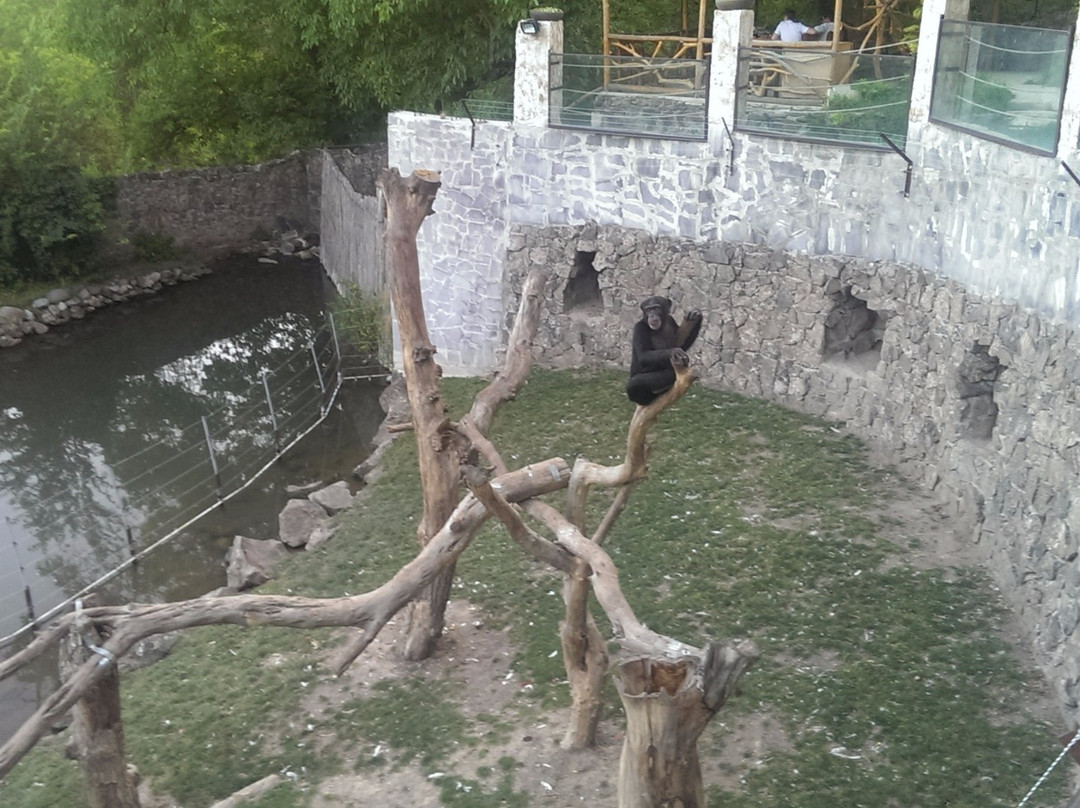 Jambo Exotic Park & Restaurant-Dzoraghbyur必去景点