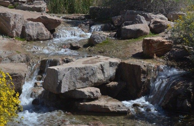 Chandler Nature Center-钱德勒必去景点