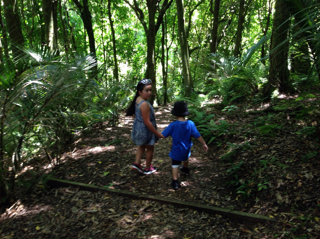 Ratapihipihi Scenic Reserve Walk-新普利默斯必去景点