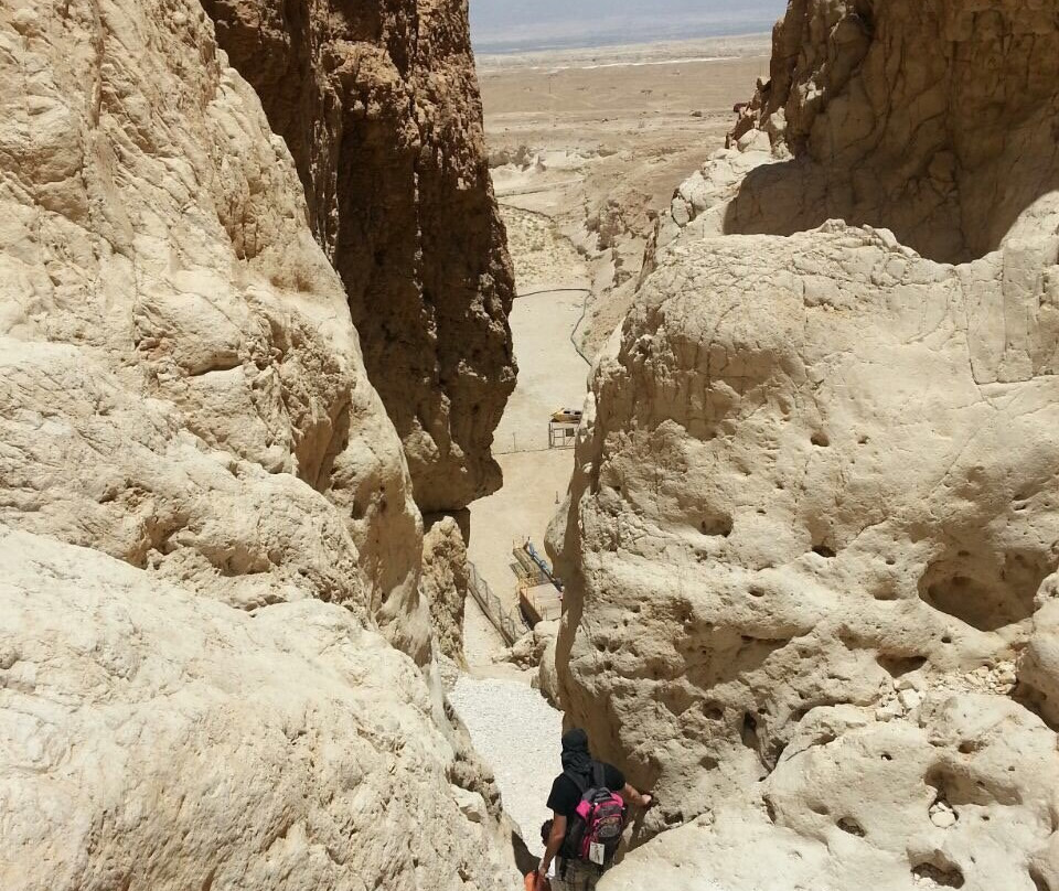 Nahal Tamar-死海地区必去景点