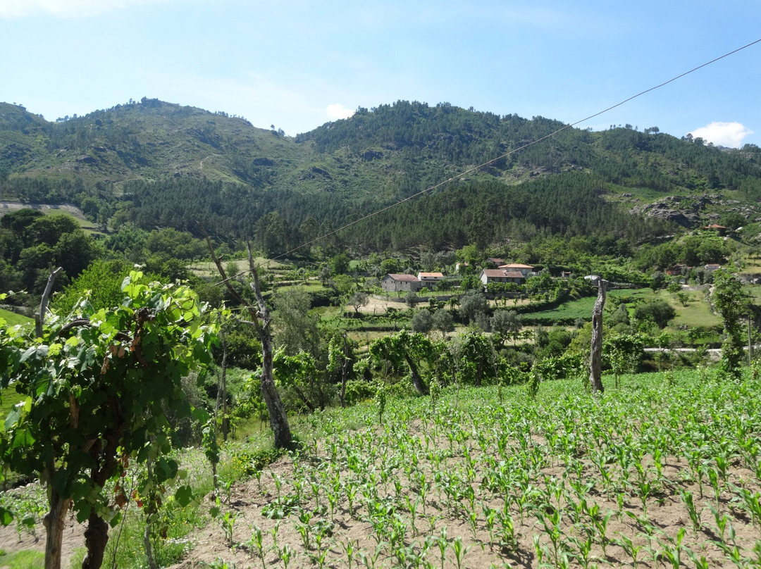 Cabril Eco Rural景点图片