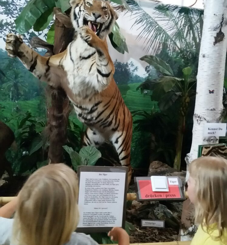 Wildlife Usedom景点图片