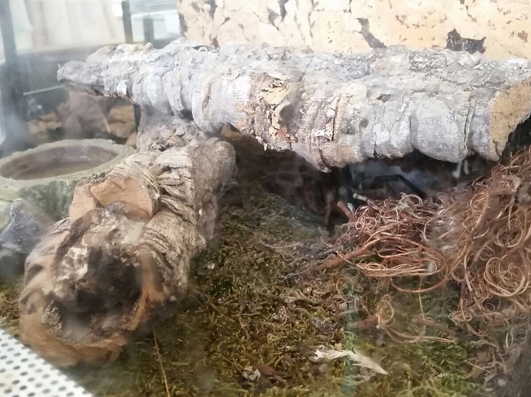 Stein旅游景点-Kindermuseum Nurnberg