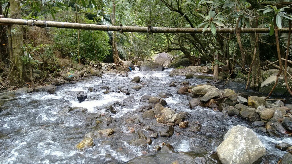 Meenvallam Water Falls景点图片