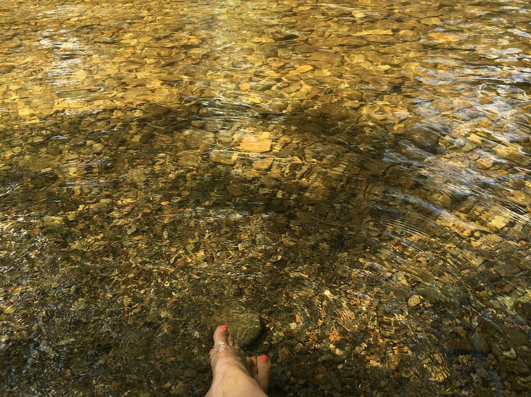 Cades Cove Campground Store and Bike Rental-汤森必去景点