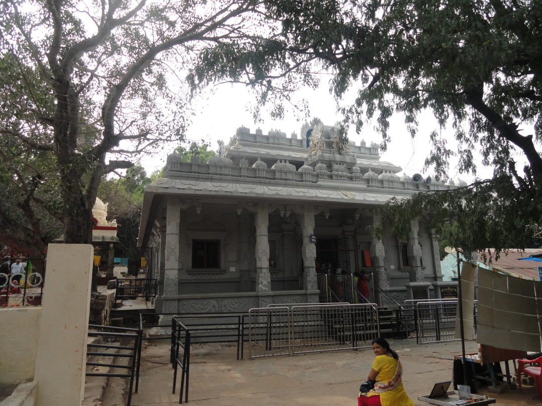 Sri Venugopala Swamy Temple景点图片