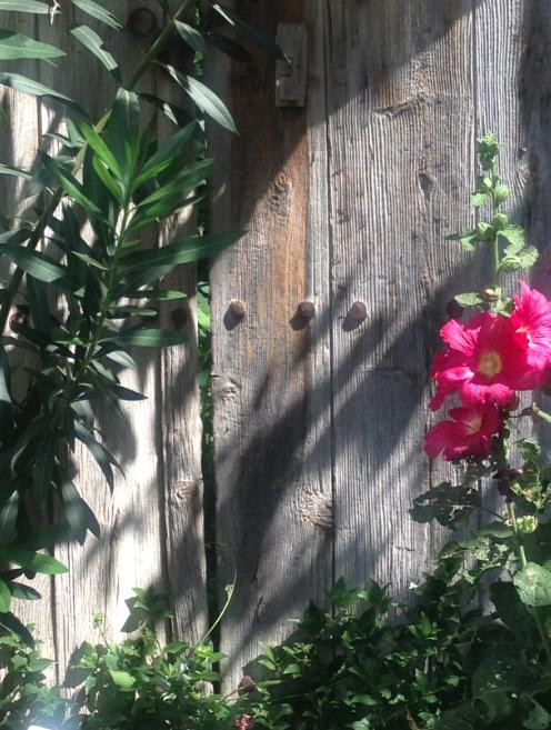 Guidedtours Cyprus - Tours景点图片