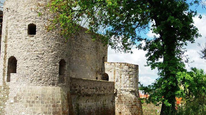 Sito Archeologico Dell'antica Cales景点图片