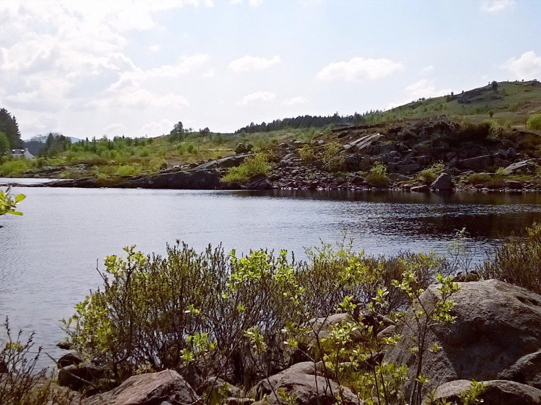 Loch Doon景点图片