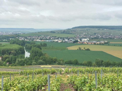 Cris-Event Champagne Tour-兰斯必去景点