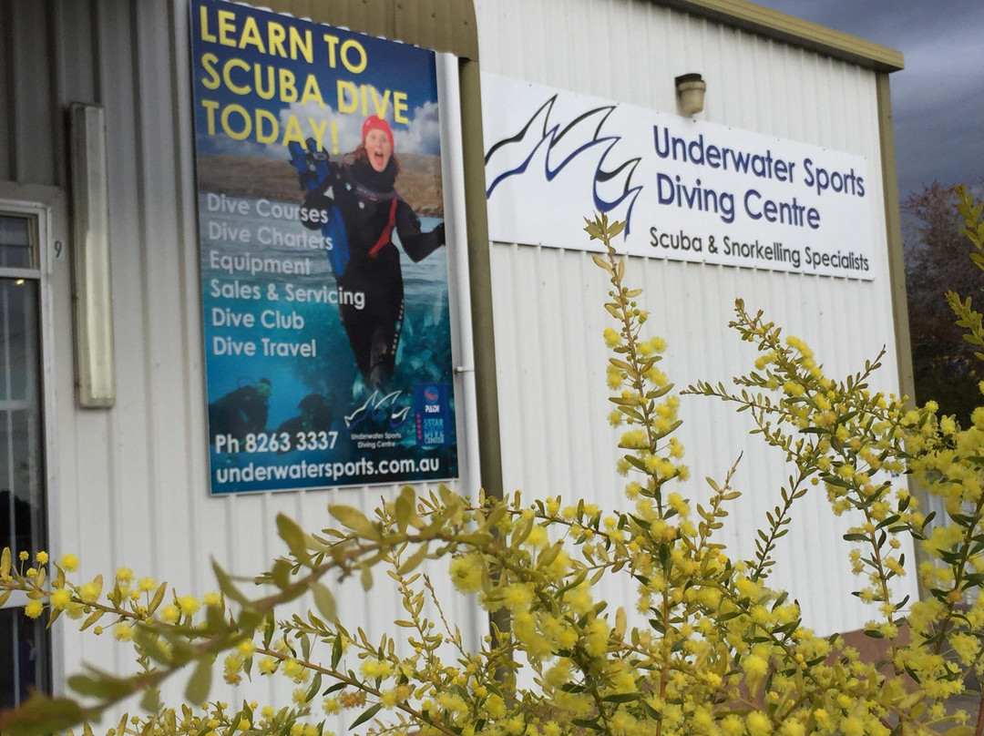 Underwater Sports Diving Centre景点图片