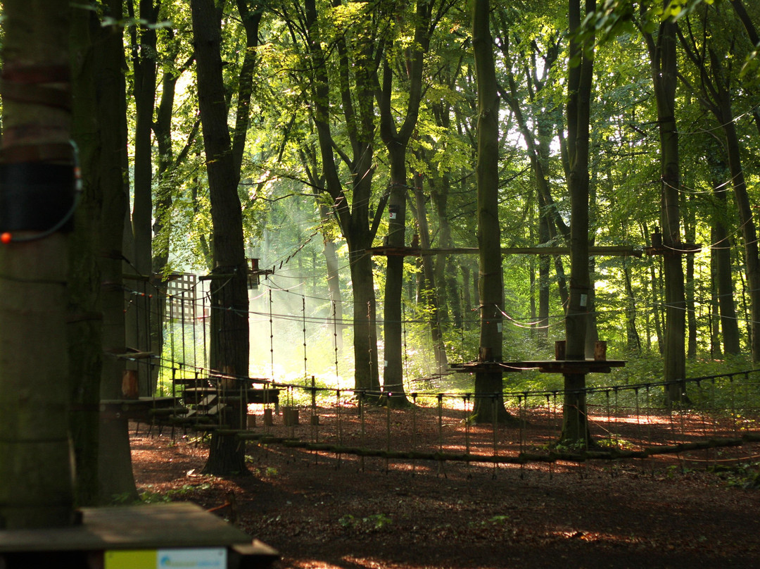 Kletterwald Haltern景点图片