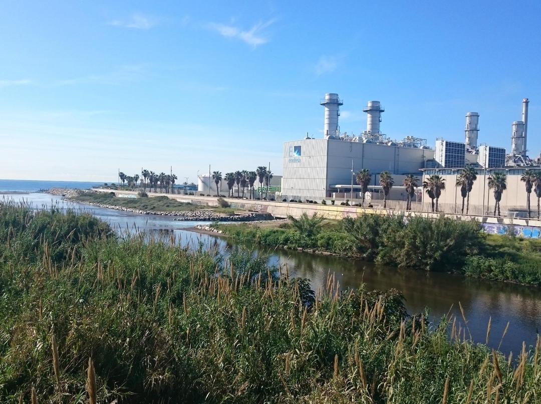 Parc Fluvial del Besos景点图片