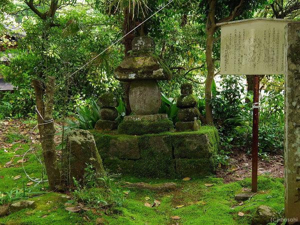 Manganji Temple景点图片