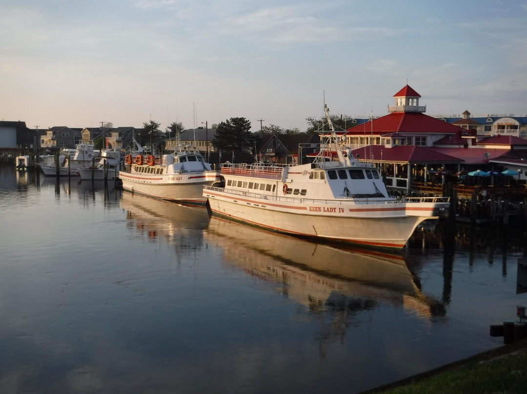 The John Penrose Virden House主图