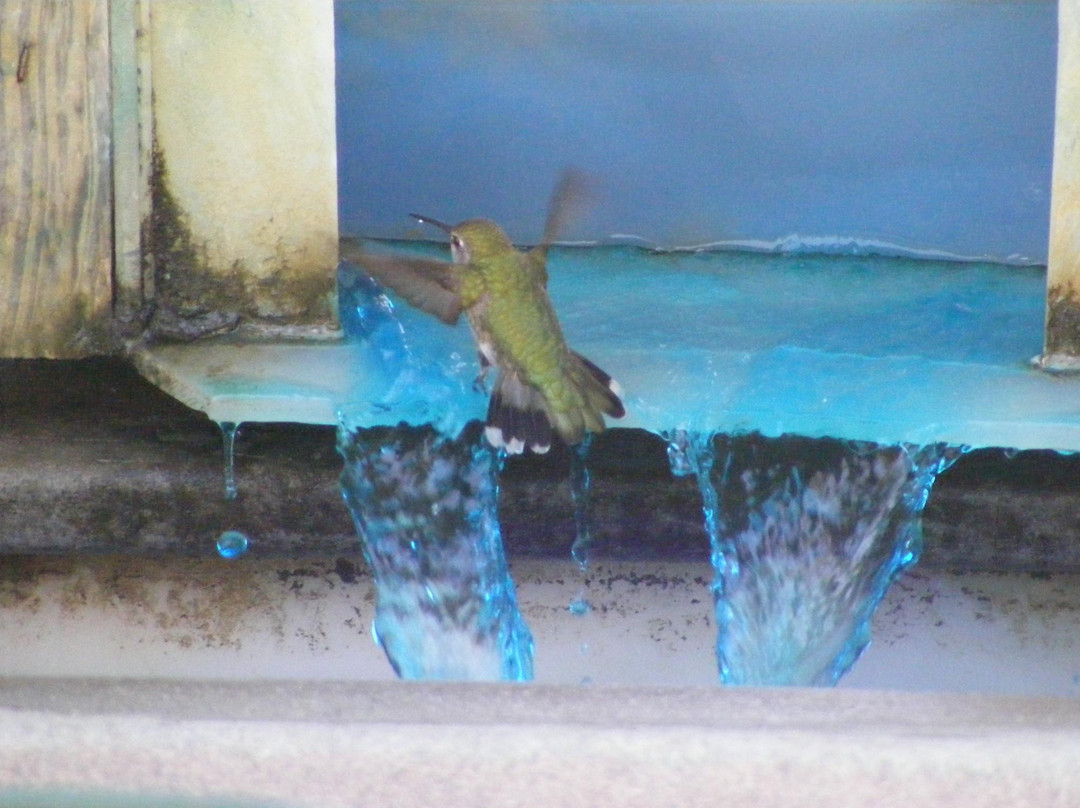 Santa Ana River Lakes-阿纳海姆必去景点