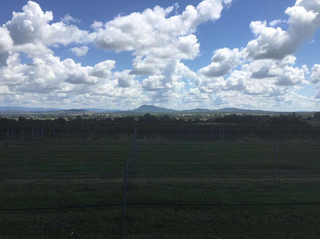 Paradine Estate Winery景点图片