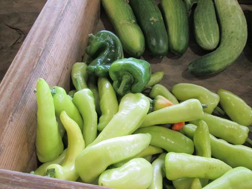 Monterey FarmersMarket景点图片